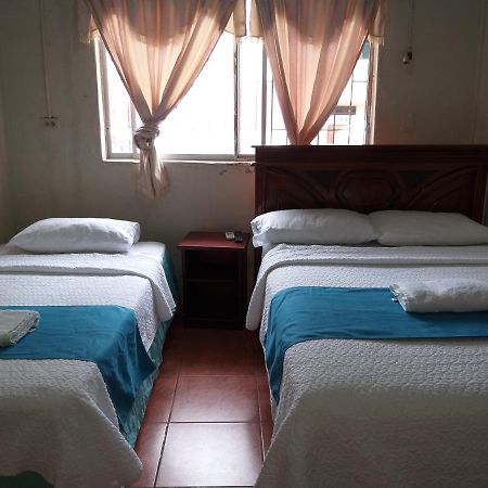 Hostal Miconia プエルトアヨラ エクステリア 写真